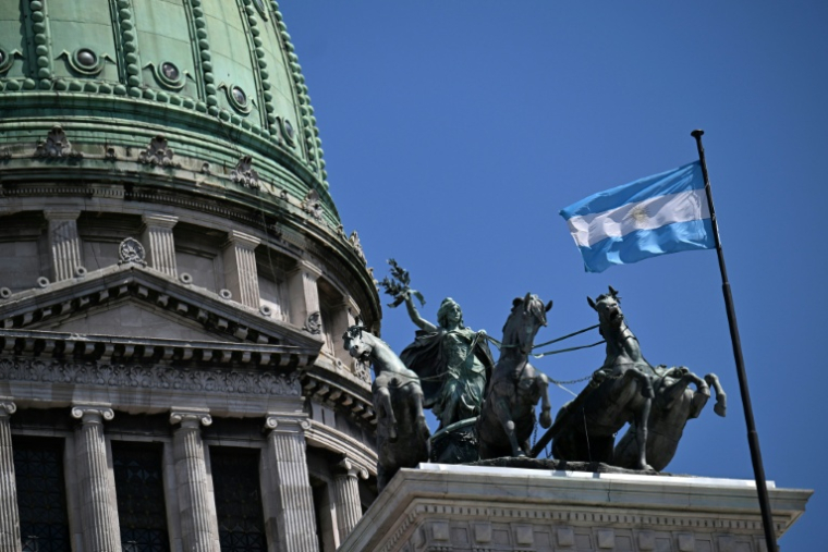 Javier Milei a renforcé son poids au Parlement, bien qu'encore sans majorité absolue ( AFP / Luis ROBAYO )