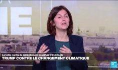 À Londres, mobilisation pour 15 manchots papous