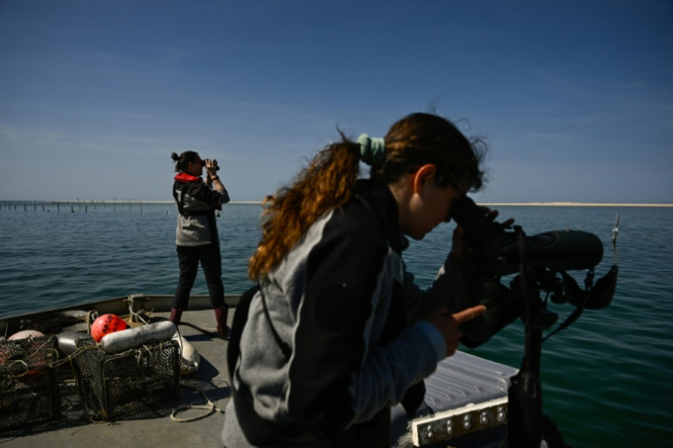 Une équipe de surveillance de l'environnement sur le  banc d'Arguin, îlot "mouvant" de sable près d'Arcachon, en Gironde, le 24 avril 2026 ( AFP / Philippe LOPEZ )