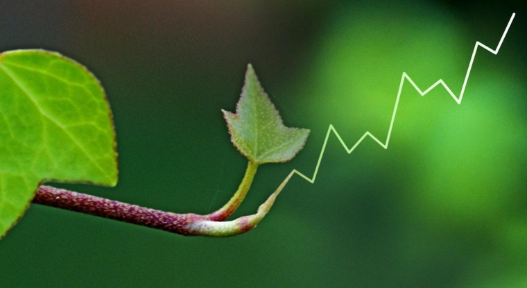 Les investisseurs sont nombreux et les indices boursiers au plus haut. (© cc Antonio)