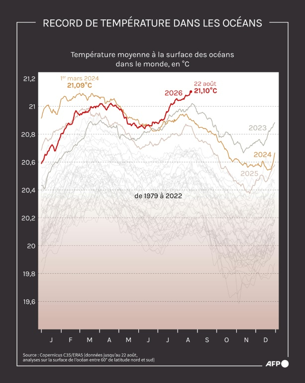 Température moyenne à la surface des océans, qui a atteint son record historique le 22 août en dépassant la précédente mesure de mars 2024, d'après le service de Copernicus dédié à l'étude du changement climatique (C3S) ( AFP / Jonathan WALTER )