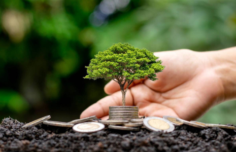 Pourquoi investir dans une forêt ? / iStock.com - arthon meekodong
