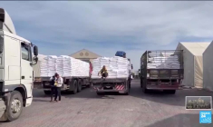 Gaza : les Etats-Unis ont commencé la construction d'une jetée