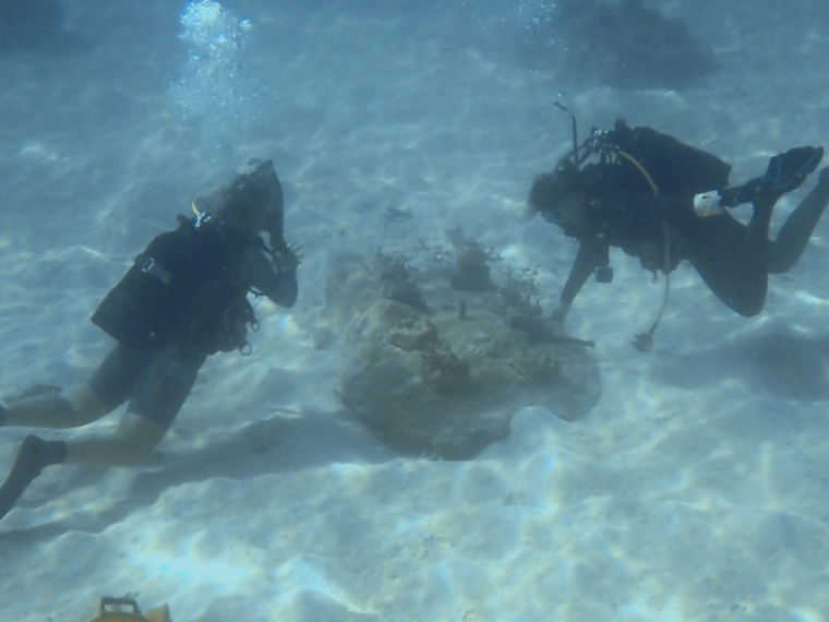 Aline Tribollet, directrice de recherche à l'IRD et Sophie Bureau, assistante ingénieure en écologie à l'université de La Réunion, prélèvent des échantillons sur des coraux dans la partie nord du lagon de Mayotte le 24 février 2026 ( AFP / Marine GACHET )