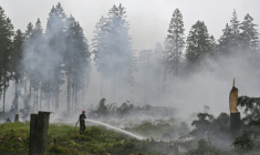 Un pompier arrose la végétation lors d'une intervention contre un feu de forêt dans la réserve naturelle des Hautes Fagnes, près de Baelen, le 18 août 2026 en Belgique ( AFP / JOHN THYS )