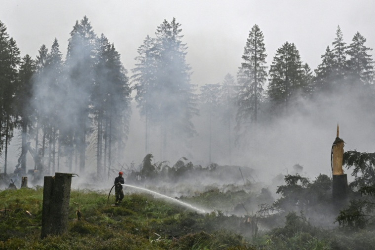 Un pompier arrose la végétation lors d'une intervention contre un feu de forêt dans la réserve naturelle des Hautes Fagnes, près de Baelen, le 18 août 2026 en Belgique ( AFP / JOHN THYS )