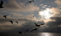 Vue sur les côtes du nord de la France