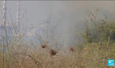 Le centre d'Israël visé par un missile des rebelles houthis du Yémen