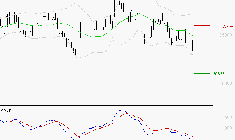 VIRBAC SA : Sous les résistances, une consolidation est probable