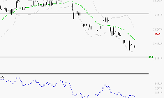 CHRISTIAN DIOR : Surveiller le comportement des cours sur les supports