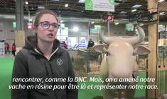 Emmanuel Macron inaugure un Salon de l'agriculture sans vaches