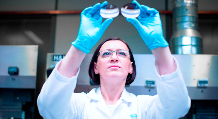 Le titre du spécialiste de l'optique a reculé de 1,4% depuis le 1er janvier. (© Essilorluxottica)