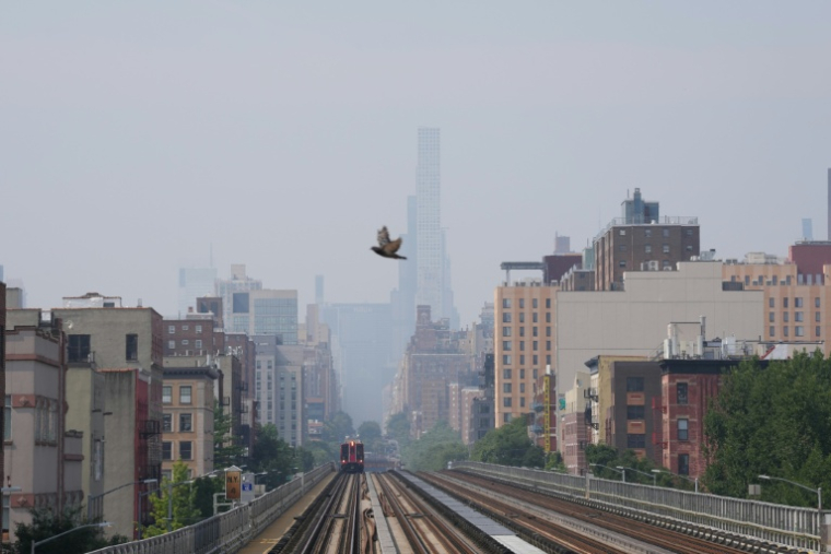 New York, le 17 juillet 2026 ( AFP / TIMOTHY A. CLARY )
