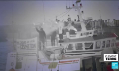 Parler aux dauphins pour les sauver