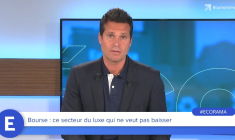 LVMH, Kering, Hermès : ce secteur du luxe qui ne veut pas baisser