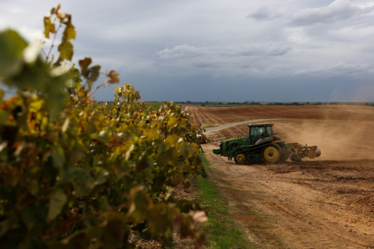 Un tracteur prépare les sols pour la culture d'amandiers à la place d'un ancien vignoble, le 13 octobre 2025 près de Lodi, en Californie ( AFP / Patrick T. Fallon )