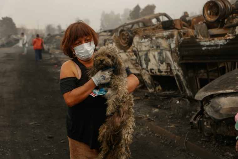 Une habitante avec son chien après un incendie de forêt qui a ravagé Lirquen, près de Concepcion au Chili, le 20 janvier 2026 ( AFP / Raul BRAVO )