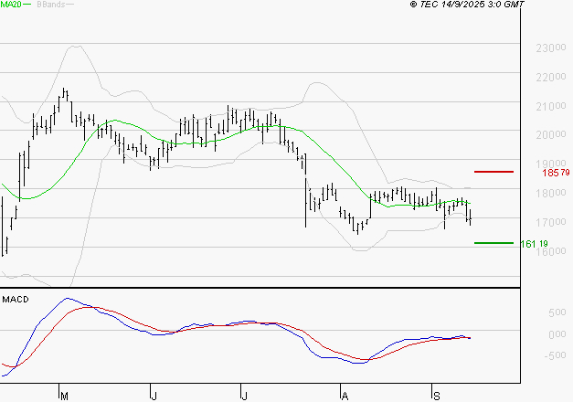 SARTORIUS STEDIM BIOTECH : La tendance baissière peut reprendre