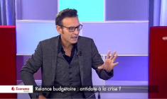 Relance budgétaire : antidote à la crise ?