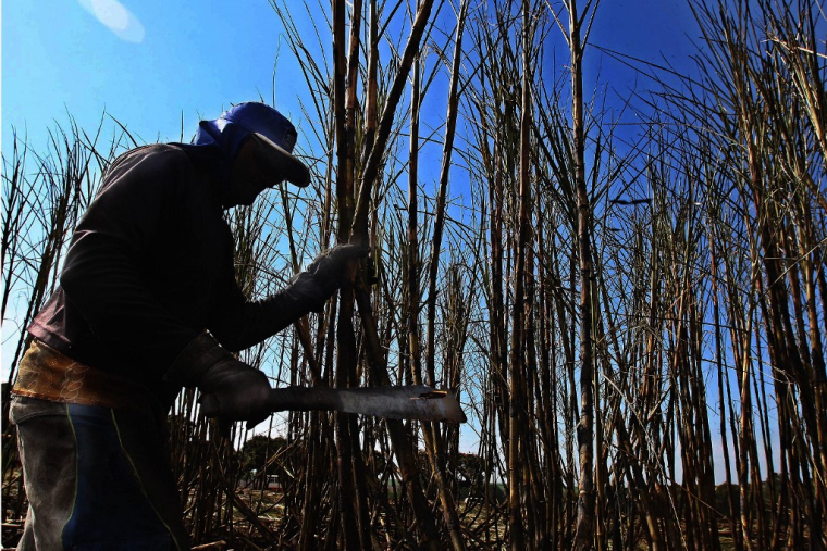( AFP / NELSON ALMEIDA )