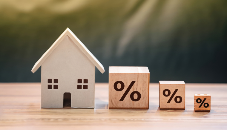 (Crédits photo: © Cecilia - stock.adobe.com)