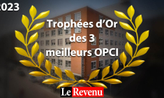 La sélection du Revenu des meilleurs OPCI. (© DR)