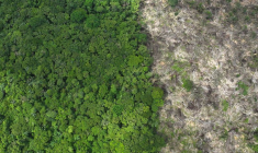 Des images de drone montrent la déforestation en Amazonie brésilienne