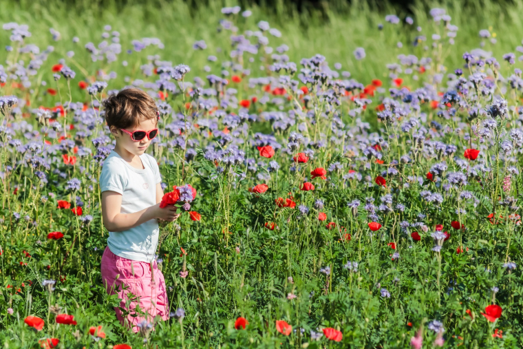 Le droit à la nature