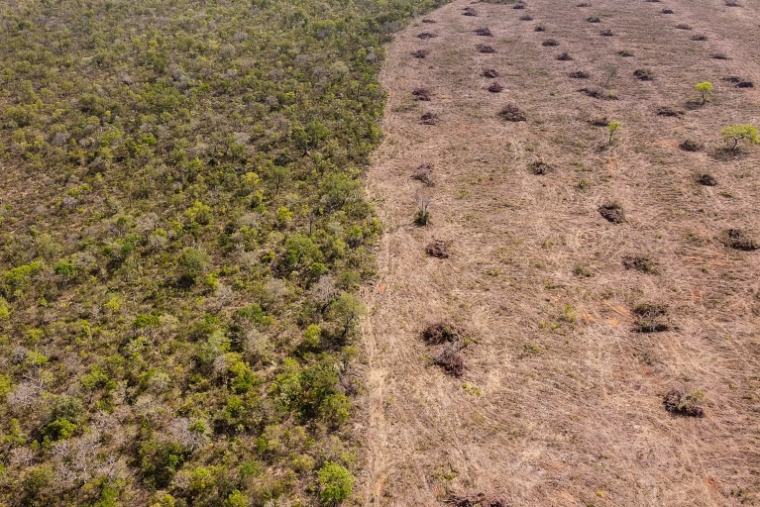 Vue aérienne de la déforestation dans le Cerrado, le 25 septembre 2023 dans l'Etat de Bahia, au Brésil ( AFP / Florence GOISNARD )