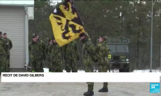 L'Otan lance le processus d'adhésion de la Suède et de la Finlande dans l'alliance