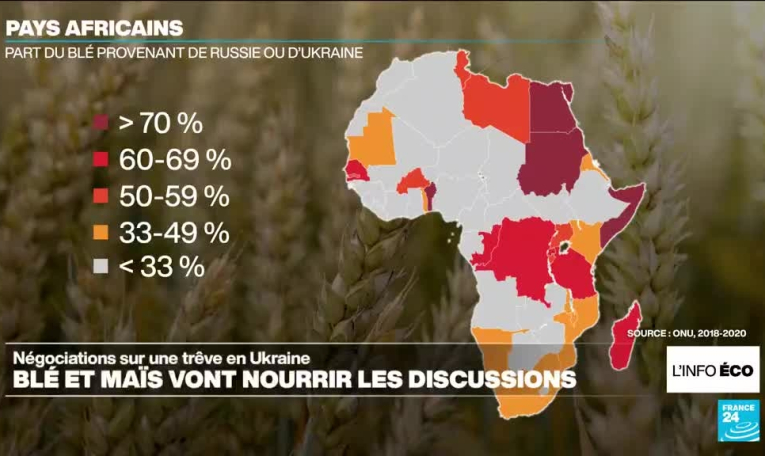 Trêve en Ukraine : l'accord céréalier va nourrir les discussions à Riyad