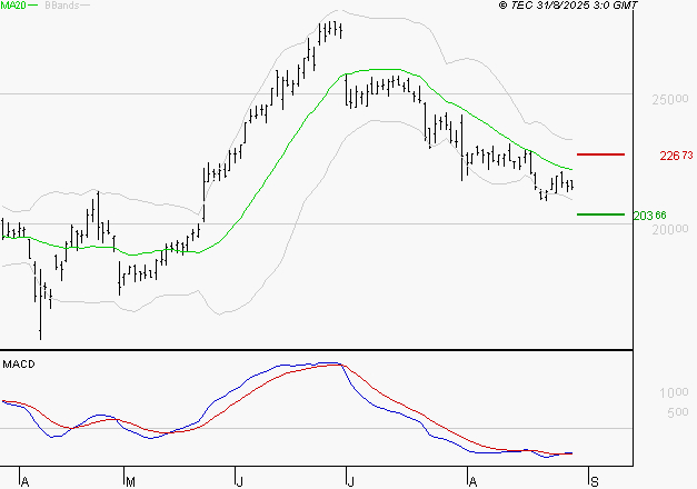 VUSIONGROUP : Retour possible sur les supports