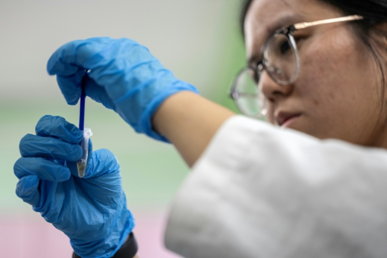 La chercheuse post-doctorante Lim Li écrase une punaise de lit dans un échantillon dans un laboratoire de l'Université des sciences de Malaisie (USM) à George Town, sur l'île de Penang, le 8 octobre 2025 ( AFP / Mohd RASFAN )