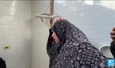 "Arrêtez la guerre !": à Gaza, la détresse des habitants après des frappes meurtrières