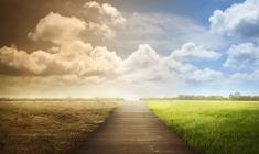 Les défis environnementaux : Investir et agir pour le climat