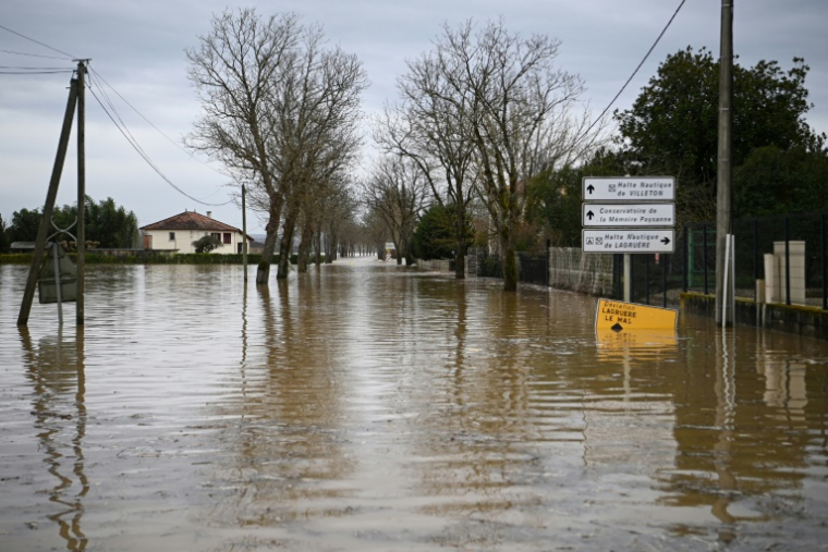 La Garonne en crue à Tonneins, dans le Lot-et-Garonne, le 13 février 2026 ( AFP / Christophe ARCHAMBAULT )