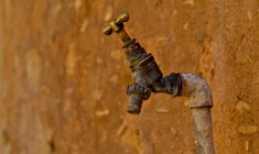 (Crédits photo : Unsplash - Jouni Rajala )