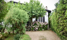 (Crédits photo : Unsplash - Arno Senoner )