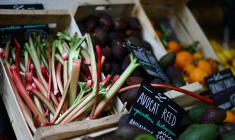 Des rhubarbes sont exposées à la vente sur un étal de maraîcher rue des Martyrs à Paris