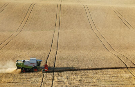 LA RUSSIE POURRAIT SUSPENDRE SES EXPORTATIONS DE CÉRÉALES JUSQU'AU 30 JUIN, SELON INTERFAX