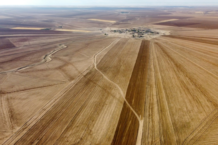 Vue aérienne montrant de champs agricoles à la périphérie de Qamishli, dans le nord-est de la Syrie, le 3 juin 2025 ( AFP / Delil SOULEIMAN )