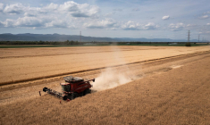 ( AFP / SEBASTIEN BOZON )