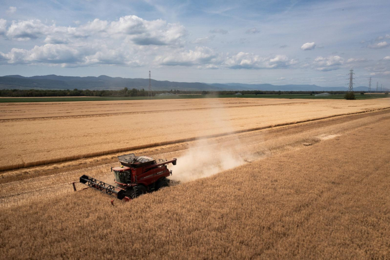 ( AFP / SEBASTIEN BOZON )
