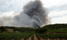 Un épais nuage de fumée s'élève dans la zone de Correns, dans le Var, où un incendie s'est déclaré, le 31 juillet 2026  ( AFP / Thibaud MORITZ )