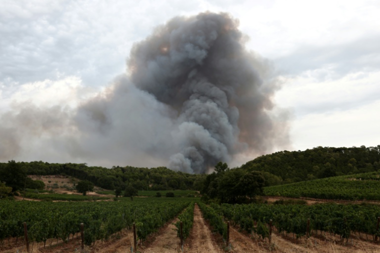 Un épais nuage de fumée s'élève dans la zone de Correns, dans le Var, où un incendie s'est déclaré, le 31 juillet 2026  ( AFP / Thibaud MORITZ )