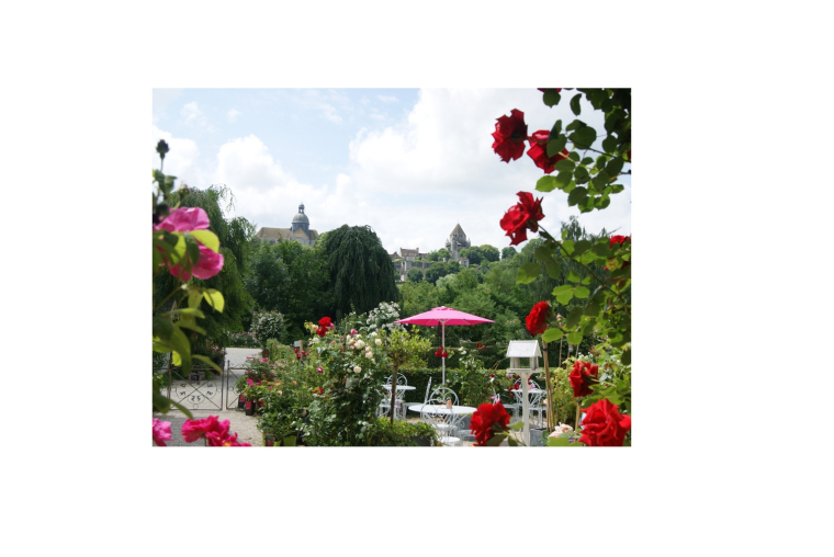 Roseraie de Provins (Crédit : provins.net)