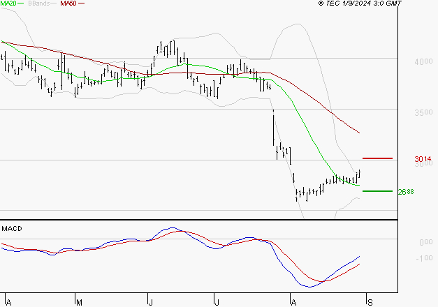 STMICROELECTRONICS : Attendre un test du support