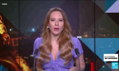 Elections législatives anticipées à l'île Maurice