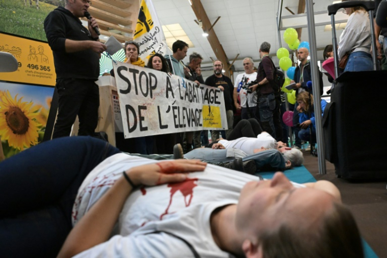 Une banderole "Stop à l'abattage de l'élevage" lors d'une action symbolique de membres de la Confédération Paysanne, allongés sur le sol, au cours de la visite de la ministre sortante de l'Agriculture, Annie Genevard, au salon international de l'élevage (Space) à Rennes, le 16 septembre 2025 en Ille-et-Vilaine ( AFP / Damien MEYER )