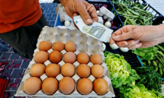 Une personne achète des œufs à Nice